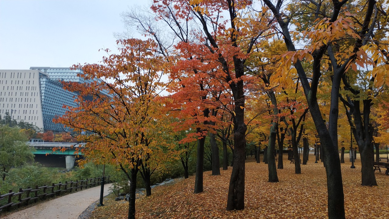 20181030_144533397.jpg