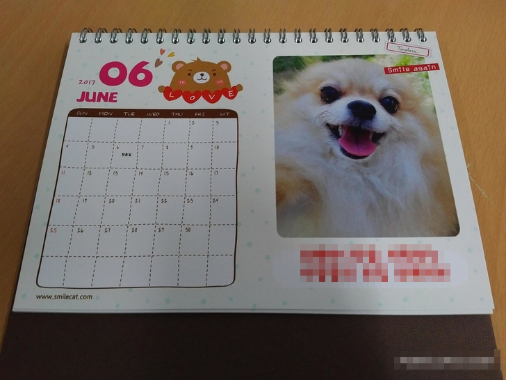 diary.jpg