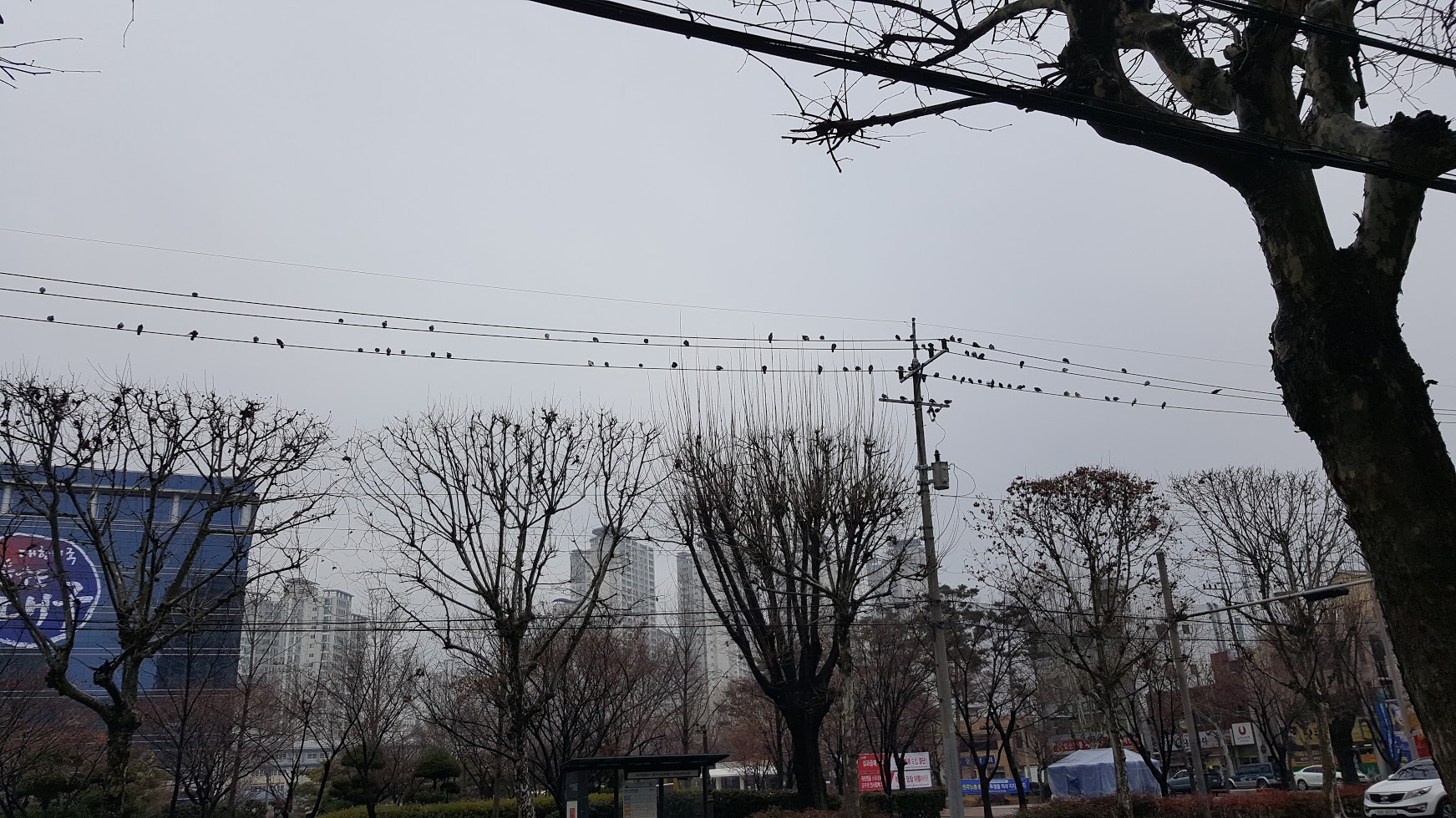 20160304_114559.jpg
