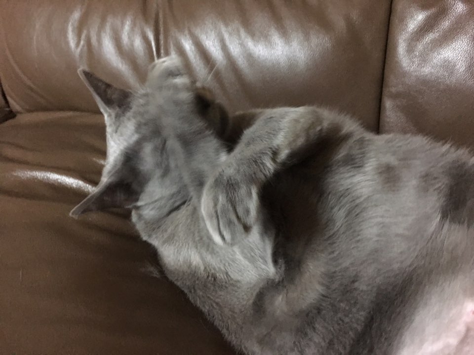 KakaoTalk_Photo_2017-05-03-23-47-00_26.jpeg