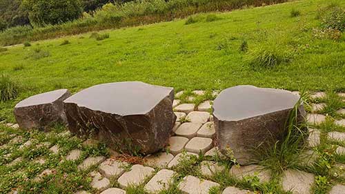 탄천풍경5.jpg