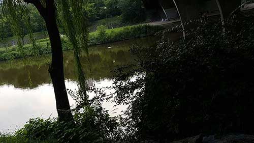 탄천풍경.jpg