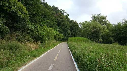 탄천풍경3.jpg