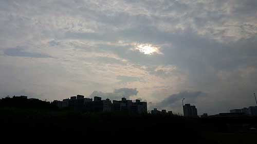 탄천풍경1.jpg