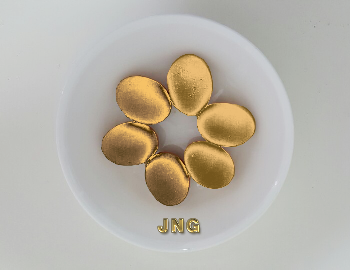 JNG황금알.png