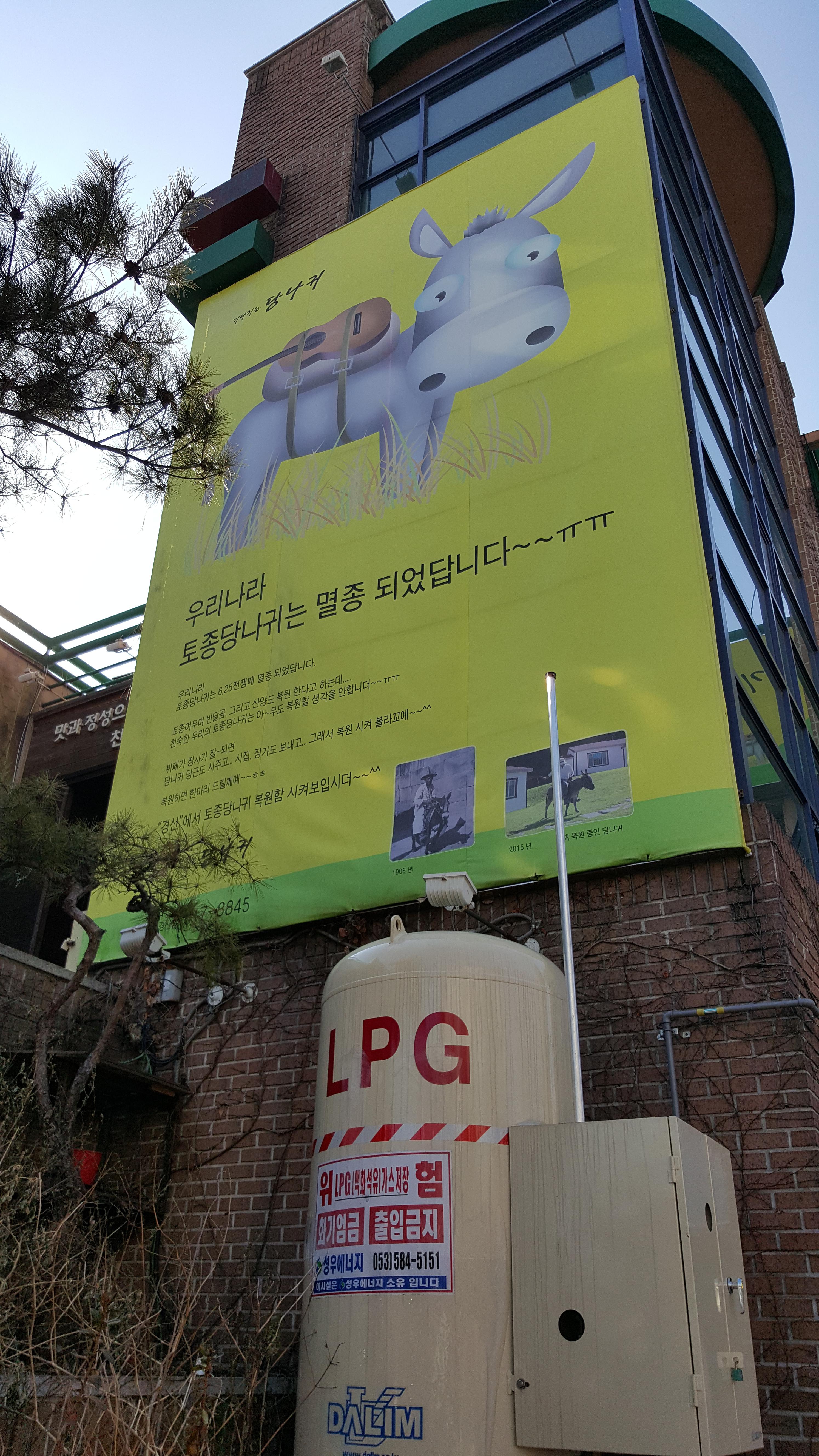 20160207_143117.jpg