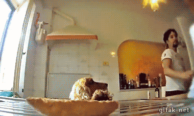 516b837d8278fe42ebb2ebdf2e7206a6_skJK3HK2g8typ7FfzeaeNWUPxBUwg94B.gif