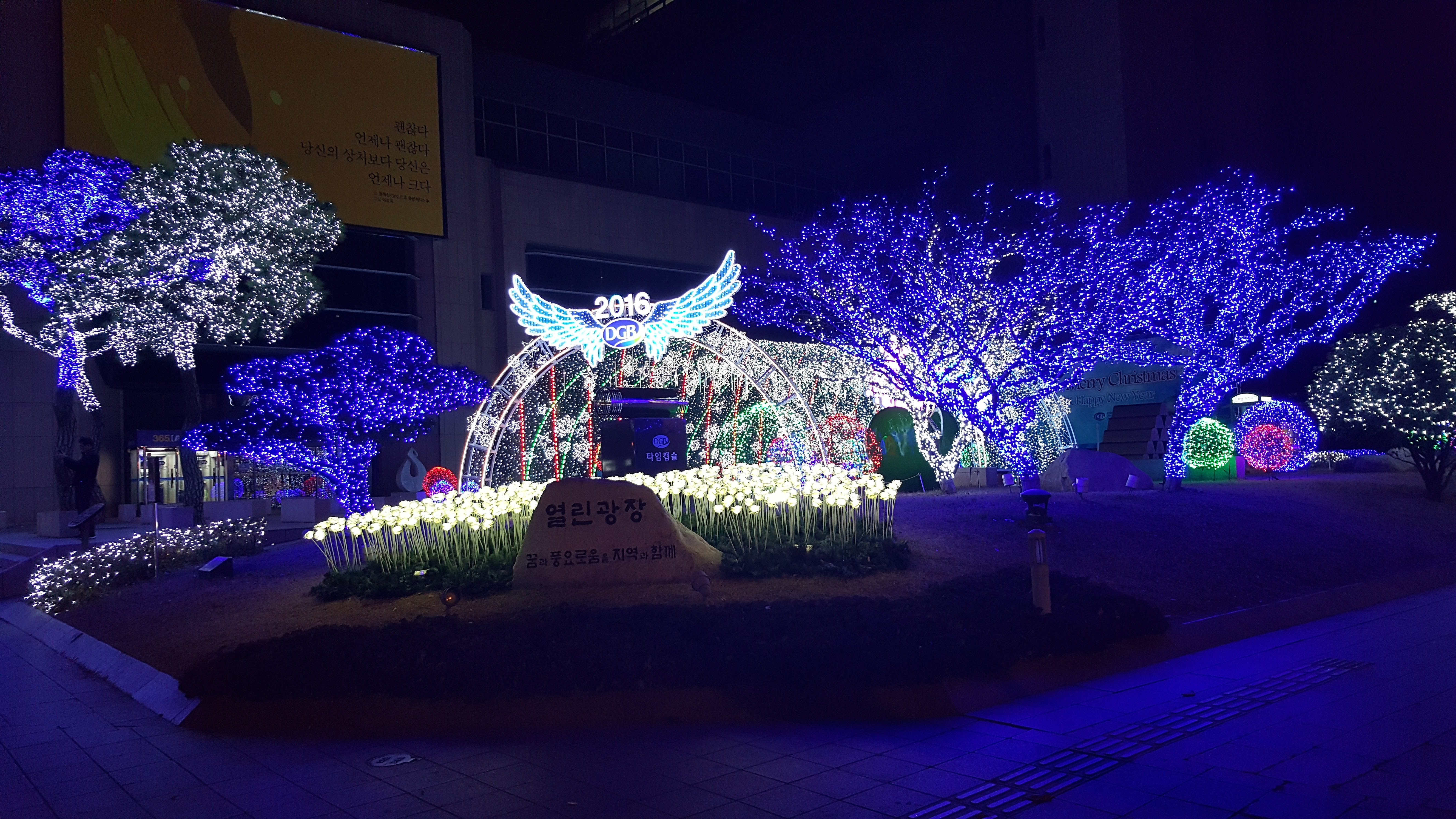 20151209_235006.jpg