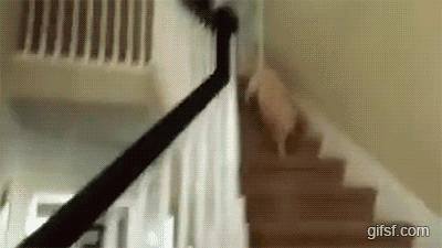 3896_jpg.gif