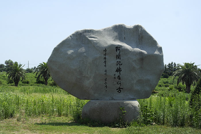 7215356.JPG
